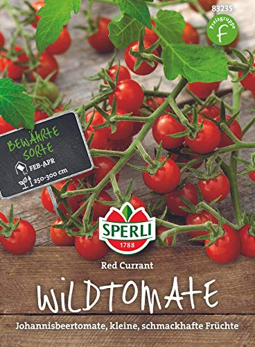 Sperli Gemüsesamen Cherry-Tomate rot Currant, grün