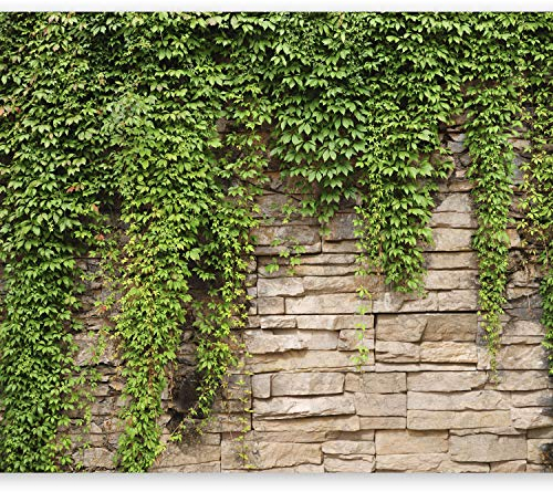 Fototapete murando 400x280 cm Vlies Tapeten Wandtapete XXL Moderne Wanddeko Design Wand Dekoration Wohnzimmer Schlafzimmer Büro Flur Steine Mauer Efeu b-A-0173-a-d