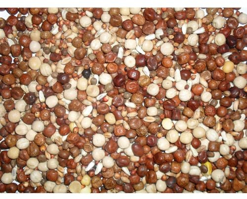 Johnston & Jeff Young Adult Bird High Protein No Maize Pigeon Corn, 20 kg