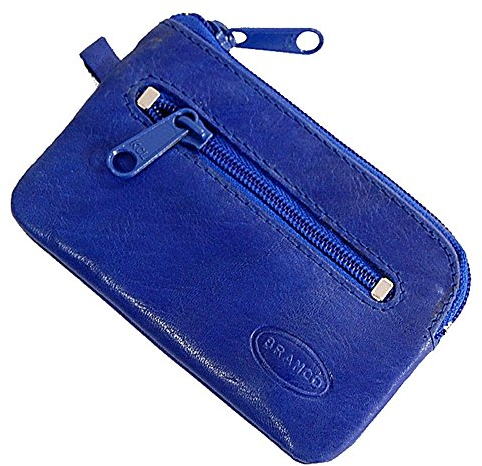 GoBago Branco kleine Schlüsseltasche Leder Schlüsseletui Schlüsselmappe Schlüssel Etui (Blau)