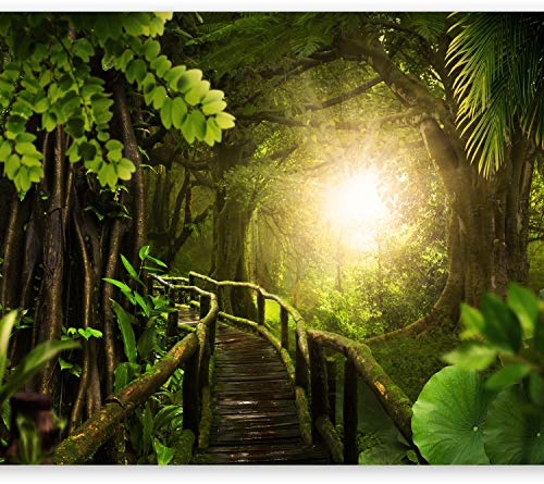 murando - Vlies Fototapete 350x256 cm - Foto Tapete Schlafzimmer Wohnzimmer Moderne Vliestapete XXL Wandtapete Motivtapeten Bildtapete 3d Effekt Wand Dekoration - Wald Natur Baum b-A-0322-a-a