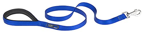 Ferplast Daytona G Guinzaglio per Cani Extraresistente - Morbida Impugnatura Imbottita - Pratico Porta Sacchetti Igienici - Antiabrasione - Design Italiano - 120 x 2 cm, Blu
