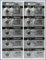 10 Energizer 392/384 Multi-Drain Batteries (LR41) by Energizer