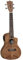 Tanglewood TWT-13E Tiare Concert Ukulele mit Tonabnehmer/EQ