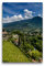 Premium Textil-Leinwand 30 x 45 cm Hoch-Format MERAN Aussichten am Tappeinerweg, Leinwanddruck von Melanie Viola