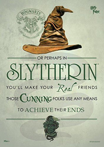MIGHTYPRINT Harry Potter – Slytherin – Hogwarts Sortierhut Haus Zitat – langlebige 43,2 cm x 24 cm Wandkunst – nicht aus Papier – offiziell lizenziertes Sammlerstück