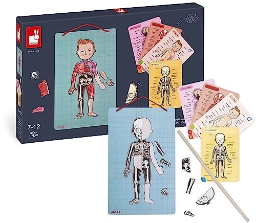 Janod Bodymagnet Educational Human Body Game - Anatomy, Organs, Skeleton, Muscles - 76 Magnetic Pieces - From 7 Years Old, 12 Languages, J05491
