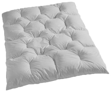 Bettenhaus Daunendecke, Karo-Steppbett, Winter warm, 135x200cm, 85% Federn / 15% Daunen, Typ: Canada, 1700 gr.