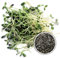 250 g BIO Keimsprossen Sonnenblume Samen für die Sprossenanzucht Sprossen Microgreen Mikrogrün