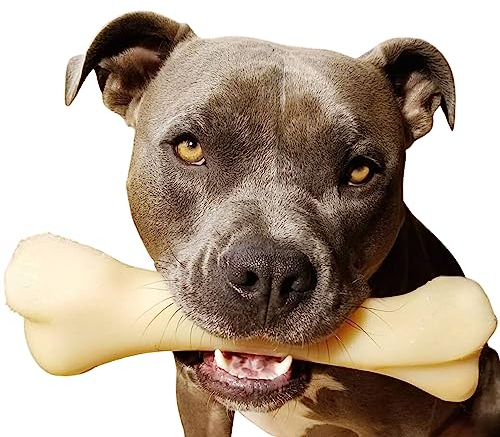 Nylabone Extreme Tough Dog Chew Toy Monster Bone, Cleans Teeth, Chicken Flavour, XXL, for Dogs Over 23 kg