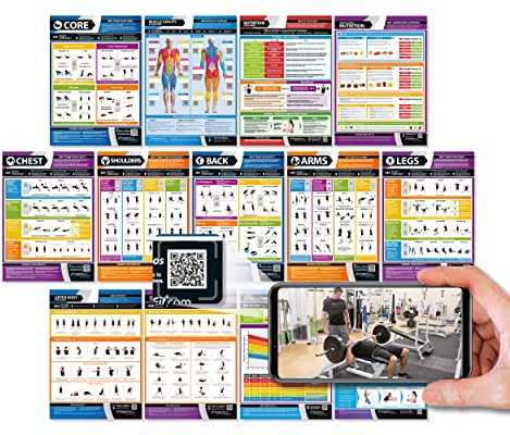 PosterFit Fitnessposter für Muskelaufbau, Übungen und Körperkonditionierung, laminiert, großes Format, 841 mm, 594 mm (A1), 13 Stück