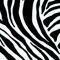 Klebefolie - Möbelfolie Zebra - schwarz weiss - 45 cm x 1500 cm - 15 Meter am Stück Selbstklebefolie