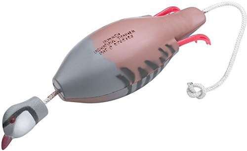 Dokken Dead Poultry - Dummy Decoy Dog Training Aid - Defowl Hunting Shooting