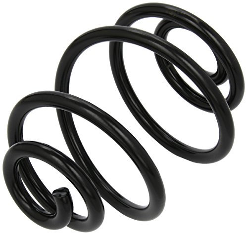 lesjofers 4217705 Coil Spring Rear