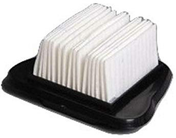 Royal Dirt Devil Filter, kabellos, wiederaufladbarer Handstaubsauger