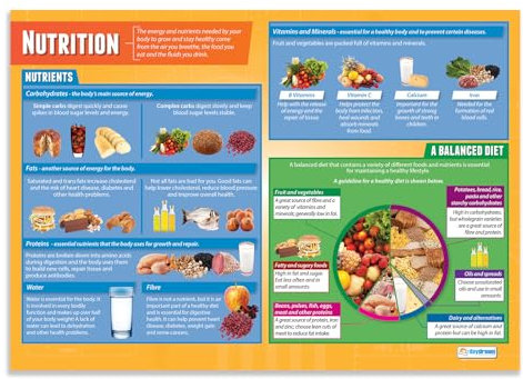 Daydream Education Lernposter „Nutrition“, Poster für den Sportunterricht, Hochglanzpapier, 850 mm x 594 mm (A1), Wandposter für Klassenzimmer