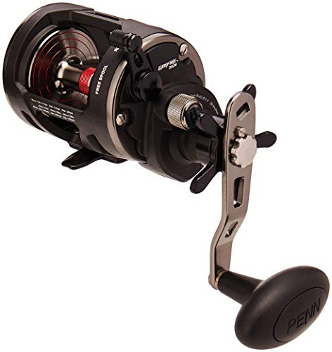 Penn Warfare Level Wind 20LH Reel - Linkshand Multirolle zum Meeresangeln, Raubfischrolle, Meeresrolle zum Jiggen, Rolle