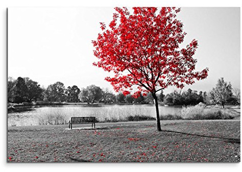 120x80cm Leinwandbild auf Keilrahmen Park Bank Teich schwarz weiß Baum rote Blätter Wandbild auf Leinwand als Panorama