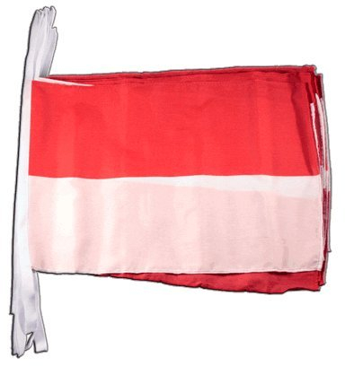 Fahnenkette Flaggen Indonesien 30x45cm, Länge 9 m