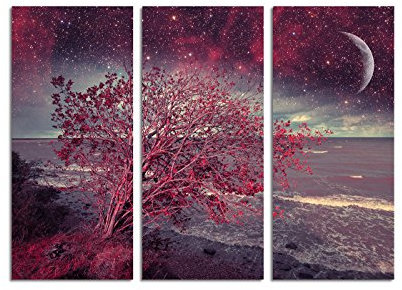 Paul Sinus Art 130x90cm – Keilrahmenbild Nacht Meer roter Baum 3teiliges Wandbild auf Leinwand und Keilrahmen - Fotobild Kunstdruck Artprint