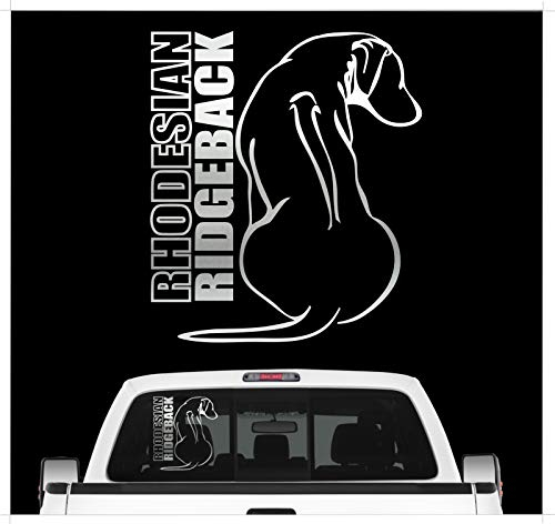 siviwonder Autoaufkleber Hund Rhodesian Ridgeback konturgeschnittener Vinyl Sticker 20x18 cm selbstklebend wetterfest Heckscheibenaufkleber Auto Tuning Hundeaufkleber für Karosserie Fenster Silber