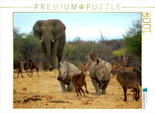 CALVENDO Puzzle Elefant und andere afrikanische Tiere | 1000 Teile Lege-Größe 64 x 48 cm Foto-Puzzle für glückliche Stunden