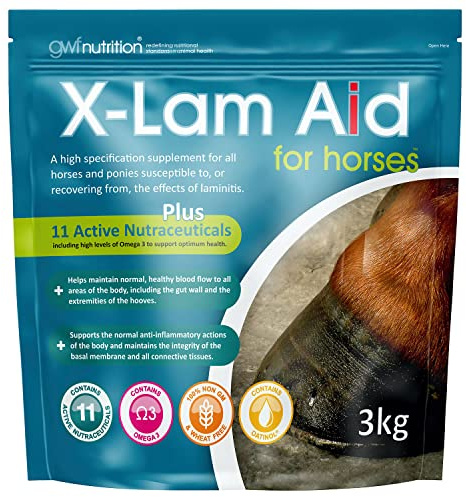 GWF Nutrition X-lam Aid For Horses Pouch 3 kg