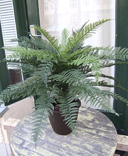 Künstlicher Farn Setiferum im Topf ca. 65cm hoch Premium-Qualität Kunstpflanzen