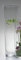 Konische Glasvase Vase Glas Blumenvase Bodenvase groß 70 cm