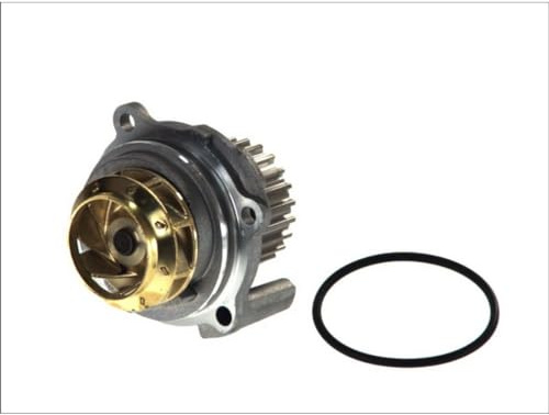 Hepu P545 Wasserpumpe