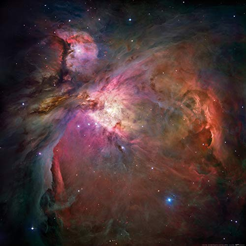 1art1 Der Weltraum Poster Orionnebel Kunstdruck Bild 70x70 cm
