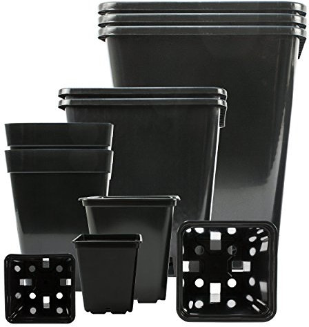 Pot de fleurs carré professionnel - Plastique PP de qualité supérieure - Parfait pour l'intérieur et l'extérieur par exemple la véranda, la terrasse, le balcon - Pot pour les petites plantes et les jeunes pousses. 5 Topf 25x25x26-cm 11-Liter 5 pièces