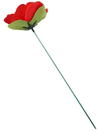 XTRAFAST Torch to Rose Feuer-Fackel zu Rose Zaubertrick Verwandlung Zaubern Lernen aus Feuer