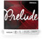D'Addario Prelude Violino a Corda Singola - D Stringa - 4/4 Scala - Tensione Media - J813 4/4M - 1 Stringa