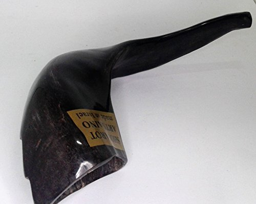 5 x Small Rams Ram's HORN SHOFAR 10-13 From Israel New Jewish