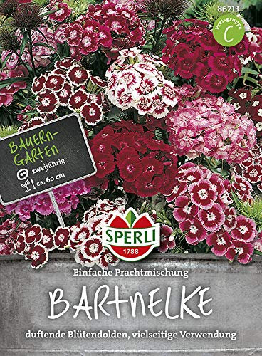 Bartnelke Prachtmischung von Sperli-Samen