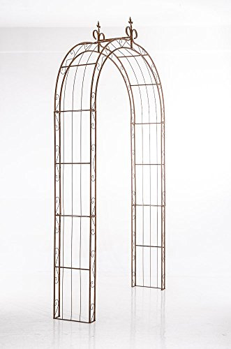 CLP Arche ŕ Rosiers Sun - Arcade de Jardin en Fer Forgé - Support pour Plantes Grimpantes - Arceau de Jardin Treillis de Jardin, Couleur:Marron Antique