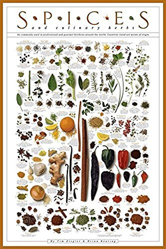 Picture Peddler Laminiertes Gewürz-Poster, Druck, kulinarische Kräuter, 61 x 91 cm