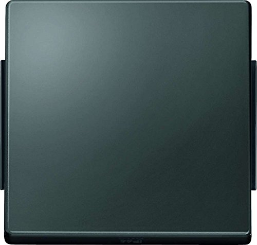 Merten 343114 Wippe, anthrazit, AQUADESIGN