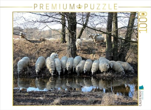 CALVENDO Puzzle Rotterwiese-Aggerauen | 1000 Teile Lege-Größe 64 x 48 cm Foto-Puzzle für glückliche Stunden