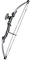 Compoundbogen 55lbs silber/schwarz für Erwachsene