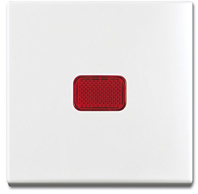 Busch-Jaeger Wippe aws 2509-914