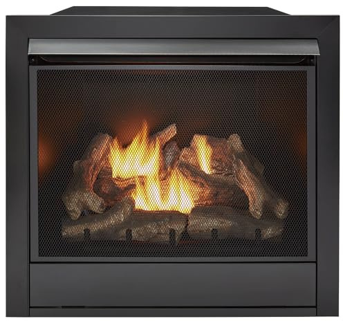 Duluth Forge Dual Fuel Ventless Gas Fireplace Insert - 32,000 BTU, Remote Control - Model# FDI32R