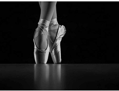 Wee Blue Coo Photo Dancing Dancer Ballerina Ballet Shoes Art Print Poster Wall Decor 12X16 Inch