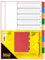 Idena 300230 - Register für DIN A4, aus Kunststoff, 10-teilig, volldeckend, bunt, 1 Stück