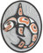 Maxpedition Gear Killer Whale Patch, 6,1 x 7,6 cm