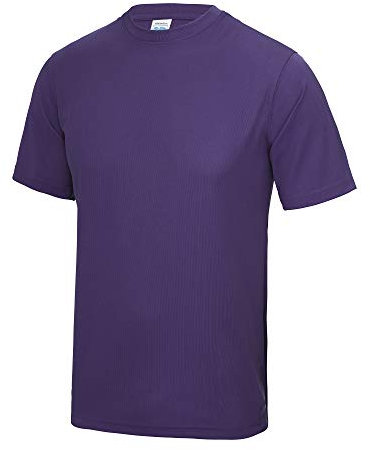 Just Cool Mens Performance Plain T-Shirt (S) (Purple)
