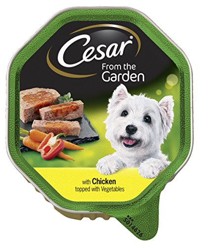 Cesar Garden Selection Wet Dog Food for Adult dogs 1+ Chicken and Vegetables in Loaf, 14 Trays (14 x 150 g)