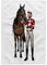3D Rose Racing Horse and Red and White Jockey from The Front Handtuch, 38,1 x 55,9 cm, Mehrfarbig