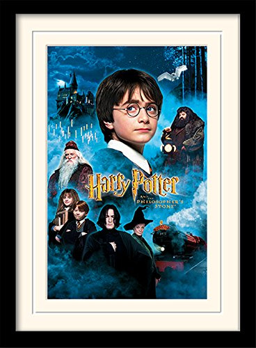 Harry Potter Philosophers Stone Mounted and Framed Print, 30 x 40 cm